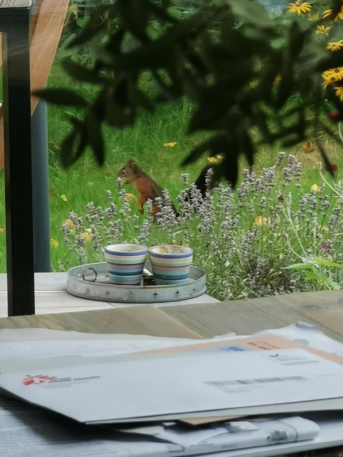 Scrab&Ble Ecologische Gastenkamers Bornem Zewnętrze zdjęcie